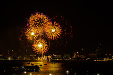 Firework colorful on night city view background for celebration festival.