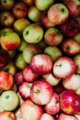 Pommes empilées dans un panier - Arrière plan coloré