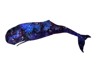 water colour hand painted art of space sperm whale. 