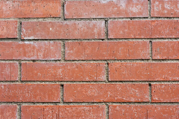 Obraz premium brick brown background