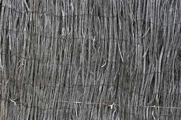 background wood heather nature