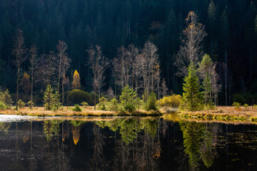 Herbst am Ellbachsee, Schwarzwald