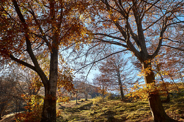Fototapeta na wymiar Autumn trekking