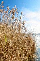 Obraz premium Autumn trekking