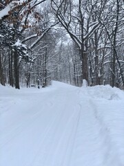 Fototapeta premium snow-covered road in the park