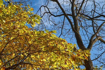 Autumn trekking
