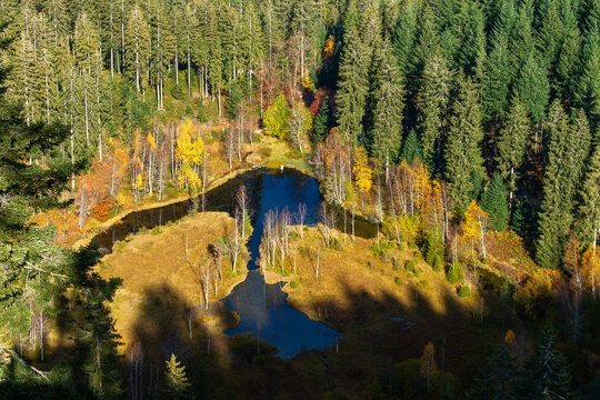 Aussicht auf den Ellbachsee, Schwarzwald, vom Ellbachseeblick aus