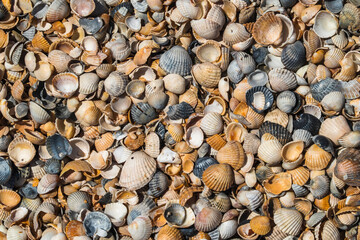 natural background of pebbles on the beach