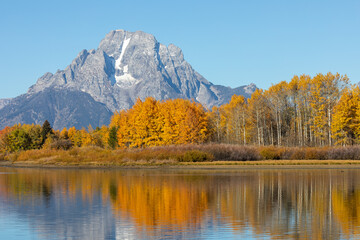 Scenic Autumn Landscape Reflection in the Tetons