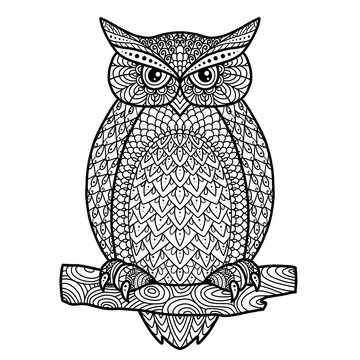 owl outline for coloring antistress