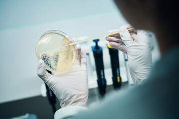 Female lab technician holding test sample on petri dish in laboratory, closeup - 389418507