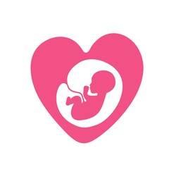 Silhouette of a baby in the womb