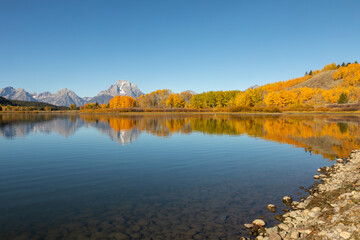 Scenic Autumn Landscape Reflection in the Tetons
