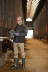 Vertical full length portrait of modern mature man using digital tablet while inspecting livestock at dairy farm, copy space