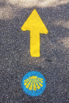 Traditional yellow arrow and symbol of the seashells painted on the way. Directional sign for pilgrims in Saint James way. Camino de Santiago de Compostela.