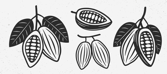 Cocoa beans icons. Vintage cocoa beans set. Chocolate logo. Vector illustration