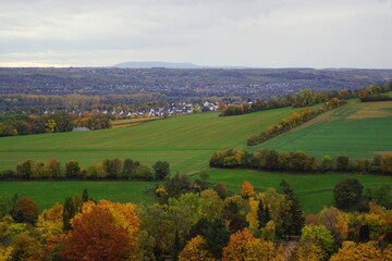Weinreben mit Rebstock im Herbst in Wiesbaden Frauenstein mit Blick auf den Rheingau und am Horizont auf den Donnersberg	