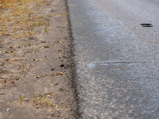 road in the park