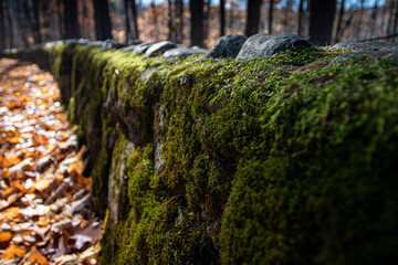 Green Wall