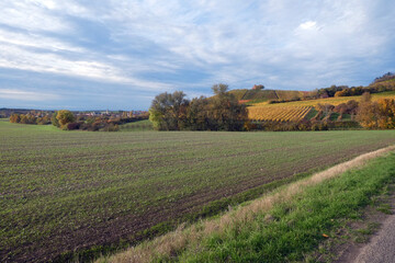 Weinberglage Oberschwarzacher Herrnberg im Herbst