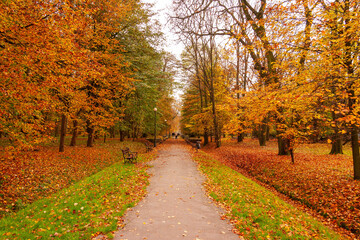 Fototapeta na wymiar Jesień w parku 