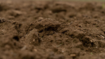 Terreno arato, campo.