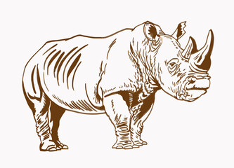 Vector   sepia illustration of rhino, graphical drawing