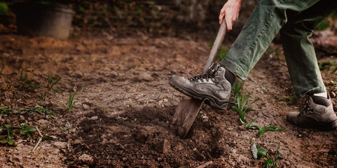 Man dig a soil with shovel in the garden. Agricultural work. Preparing for the cultivation of...