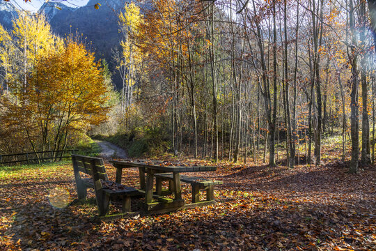 Area ristoro in autunno