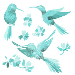 Hummingbird and flowers illustration with solid vector isolated in pink background