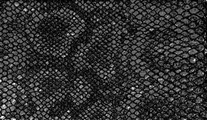 Snakeskin pattern imitation. Lines and spots structural texture. Cool and artsy faux leather background. Abstract vector illustration. Black isolated on white. EPS10