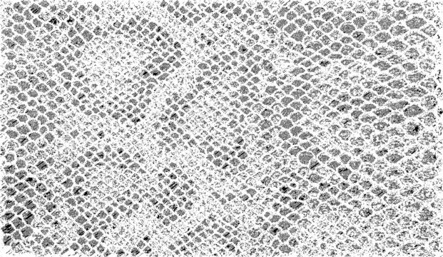 Snakeskin pattern imitation. Lines and spots structural texture. Cool and artsy faux leather background. Abstract vector illustration. Black isolated on white. EPS10