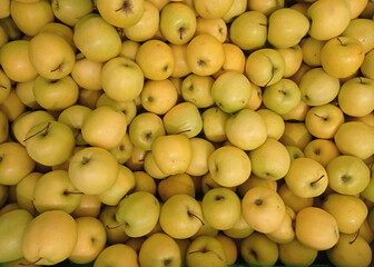 Pomme  golden