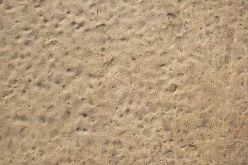 Beige textured background, surface putty