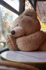 Portrait of teddy bear sitting at the restaurant terrace behind the window