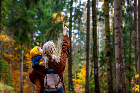 mother and son walk through the forest in autumn