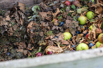 Homemade wooden compost bin in the garden. Recycling organic biodegradable material and household waste in composter. Best organic fertilizer.