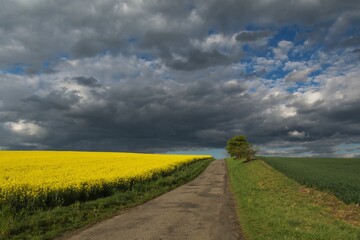 Landscape with road and clouds