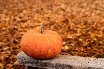 An orange pumpkin on a wooden bench.