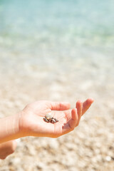 woman hand close up holding rocks. sea beach on background