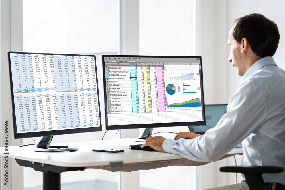 Poster analyst employee working with spreadsheet