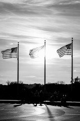 U.S. national flags and Washington Monument during sunset - Washington D.C. Unied Staes of America