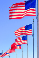 U.S. national flags and Washington Monument during sunset - Washington D.C. Unied Staes of America
