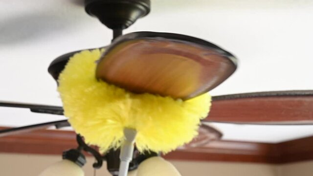 Using a wand feather duster to remove and clean dust from a ceiling fan 