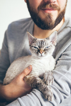 Handsome beard man is holding and cuddling little Devon Rex cat. Guy likes spending time with cute purring kitty. Sharing affection with cat, it boosts mood, lowers stress levels.  Happy pets concept