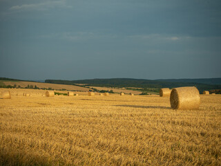 Fototapeta premium Strohballen kurz nach der Ernte