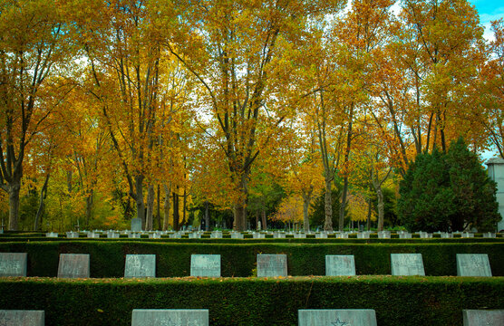 Russische Gr&auml;ber von Soldaten am Zentralfriedhof Wien