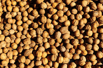 Unusual and beautiful walnut background