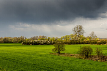 pola, krajobraz, droga, niebo, zieleń, lato, rolnictwa, blękit, kraj, horyzont, chmura, kraina, droga, chmura, farma, roślin, nasłoneczniony