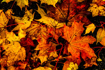 Herbst